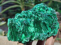 Natural Silky Malachite Specimens x 5 From Kasompe, Congo