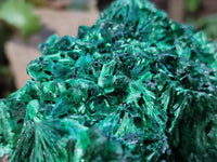 Natural Silky Malachite Specimens x 5 From Kasompe, Congo