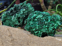 Natural Silky Malachite Specimens x 5 From Kasompe, Congo