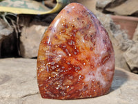 Polished Carnelian Standing Free Forms x 4 from Madagascar