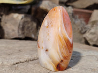 Polished Carnelian Standing Free Forms x 4 from Madagascar