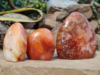 Polished Carnelian Standing Free Forms x 4 from Madagascar