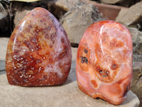 Polished Carnelian Standing Free Forms x 4 from Madagascar