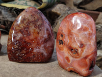 Polished Carnelian Standing Free Forms x 4 from Madagascar