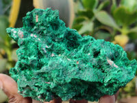 Natural Silky Malachite Specimens x 3 From Kasompe, Congo