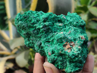 Natural Silky Malachite Specimens x 3 From Kasompe, Congo