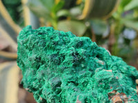 Natural Silky Malachite Specimens x 3 From Kasompe, Congo