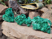 Natural Silky Malachite Specimens x 3 From Kasompe, Congo