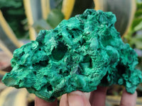 Natural Silky Malachite Specimens x 3 From Kasompe, Congo