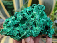 Natural Silky Malachite Specimens x 3 From Kasompe, Congo