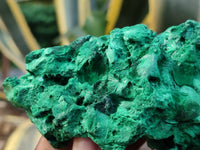 Natural Silky Malachite Specimens x 3 From Kasompe, Congo