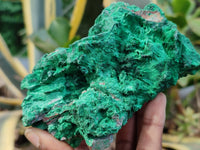 Natural Silky Malachite Specimens x 3 From Kasompe, Congo