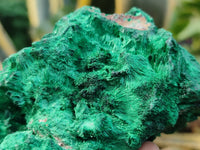 Natural Silky Malachite Specimens x 3 From Kasompe, Congo