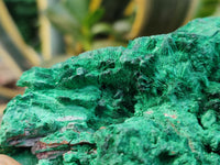 Natural Silky Malachite Specimens x 3 From Kasompe, Congo