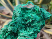 Natural Silky Malachite Specimens x 3 From Kasompe, Congo