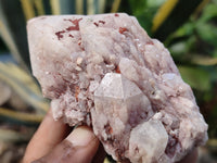 Natural Pineapple Candle Quartz Crystals x 30 From Antsirabe, Madagascar