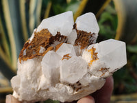 Natural Pineapple Candle Quartz Crystals x 30 From Antsirabe, Madagascar