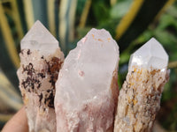 Natural Pineapple Candle Quartz Crystals x 30 From Antsirabe, Madagascar