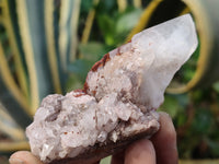 Natural Pineapple Candle Quartz Crystals x 30 From Antsirabe, Madagascar