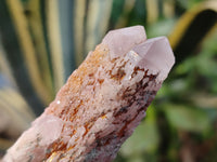 Natural Pineapple Candle Quartz Crystals x 30 From Antsirabe, Madagascar