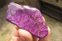 Polished On One Side Metallic Purpurite Specimens x 12 From Erongo, Namibia