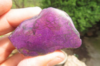 Polished On One Side Metallic Purpurite Specimens x 12 From Erongo, Namibia