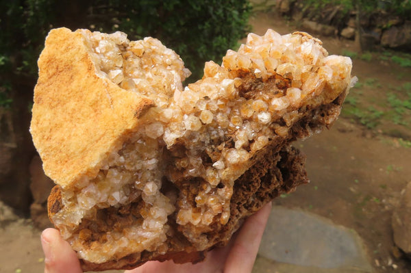 Natural Limonite Quartz Specimens x 3 From Zambia