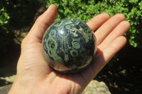 Polished Stromatolite Jasper Spheres x 4 From Madagascar