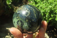 Polished Stromatolite Jasper Spheres x 4 From Madagascar