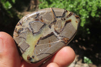 Polished Septerye Slices x 9 From Mahajanga, Madagascar