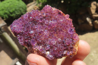 Natural Amethystos Amethyst Specimens x 12 From Kwaggafontein, South Africa