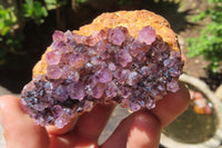 Natural Amethystos Amethyst Specimens x 12 From Kwaggafontein, South Africa