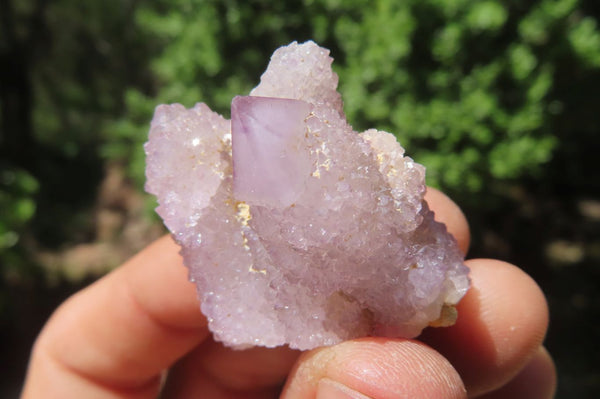 Natural Amethyst Spirit Quartz Crystals x 40 From Boekenhouthoek, South Africa