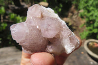 Natural Amethyst Spirit Quartz Crystals x 40 From Boekenhouthoek, South Africa