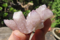 Natural Amethyst Spirit Quartz Crystals x 40 From Boekenhouthoek, South Africa