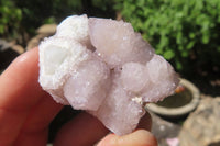 Natural Amethyst Spirit Quartz Crystals x 40 From Boekenhouthoek, South Africa