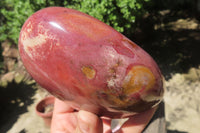 Polished Red Podocarpus Petrified Wood Standing Free Forms x 3 From Madagascar