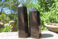 Polished Black Basalt Points x 6 From Antsirabe, Madagascar