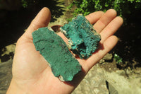 Natural Botryoidal Malachite Specimens x 12 From Congo