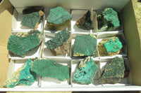 Natural Botryoidal Malachite Specimens x 12 From Congo