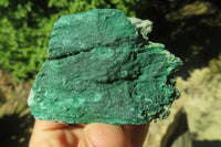 Natural Botryoidal Malachite Specimens x 12 From Congo