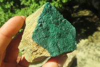 Natural Botryoidal Malachite Specimens x 12 From Congo