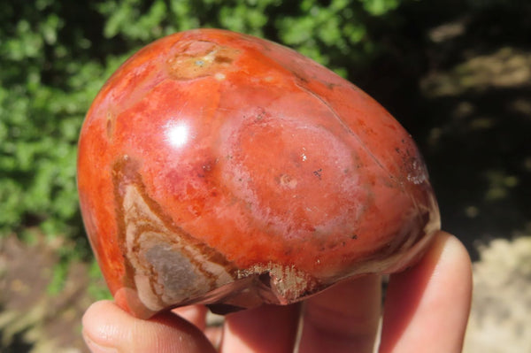 Polished On One Side Polychrome Jasper Nodules x 6 From Mahajanga, Madagascar