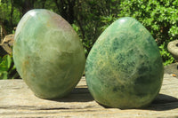 Polished Green Fluorite Standing Free Forms x 2 From Madagascar