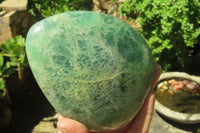 Polished Green Fluorite Standing Free Forms x 2 From Madagascar