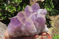 Natural Jacaranda Amethyst Quartz Clusters x 2 from Mumbwa, Zambia