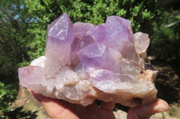 Natural Jacaranda Amethyst Quartz Clusters x 2 from Mumbwa, Zambia