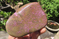 Polished Stichtite Free Forms x 2 From Barberton, South Africa