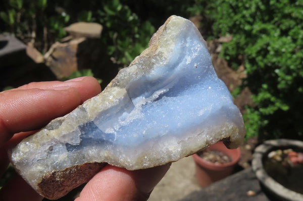 Natural Blue Lace Agate Geode Specimens x 12 From Malawi