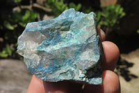 Natural Blue Shattuckite Specimens x "Lot" From Kaokoveld, Namibia